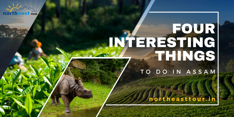 4 Interesting Things To Do in Assam - Plan The Best Itinerary