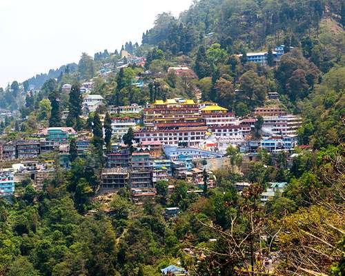 Darjeeling -The Queen of the Hills