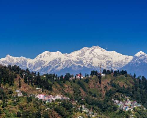 Delights of the Himalayas