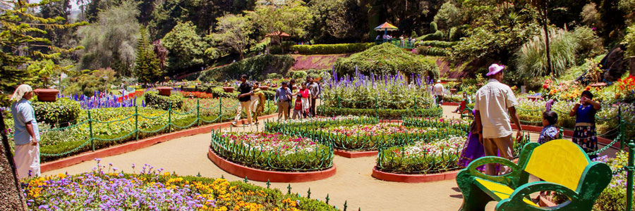 Flower Exhibitions