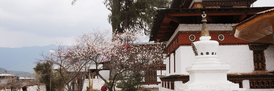 Jangsarbu Lhakhang