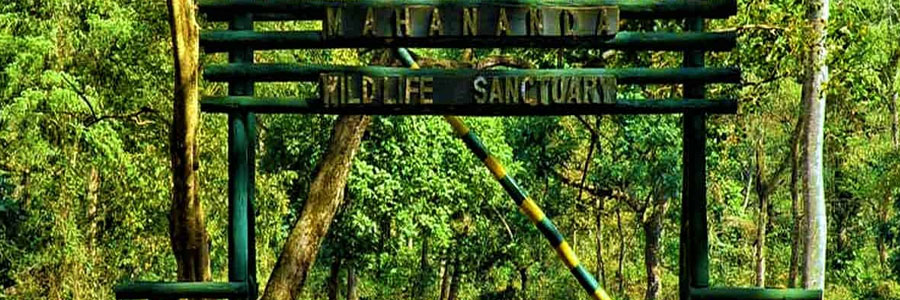 Mahananda Wildlife Sanctuary